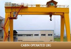 Licence to operate a bridge and gantry crane